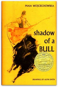 Shadow-of-a-Bull